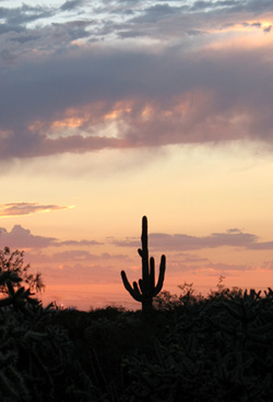 Civano Sunset, Tucson